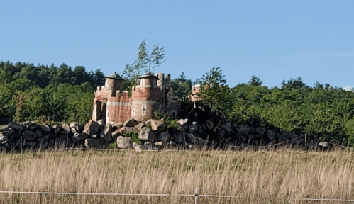 A whimsical castle made of brick sits atop a rocky outcrop, surrounded by tall grass and trees under a clear blue sky.
