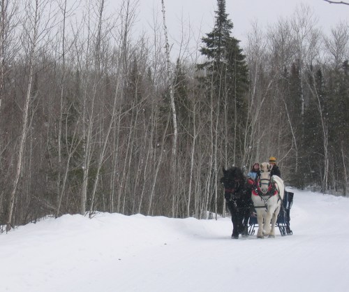 A horse-drawn sleigh travels through a snowy forest, with two people seated in the sled. Snowflakes are falling.