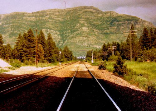 A view of railway tracks leading towards a mountainous landscape, surrounded by trees and power lines.
