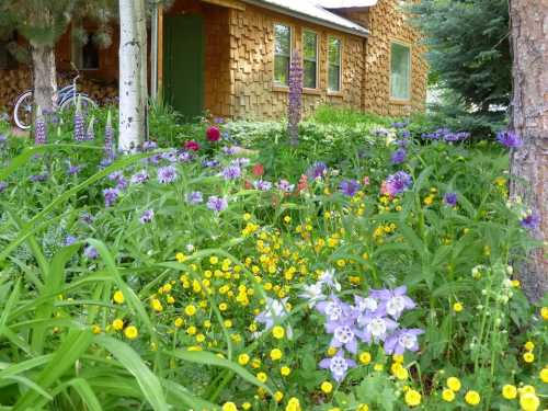 A vibrant garden filled with colorful flowers in front of a rustic wooden house surrounded by trees.