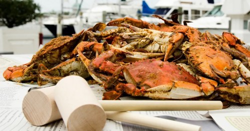 A pile of cooked crabs on newspaper, with a wooden mallet beside them, set against a marina backdrop.