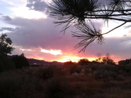 A vibrant sunset paints the sky with pink and orange hues, framed by silhouetted trees and distant mountains.