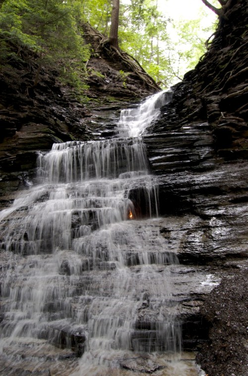 A cascading waterfall flows down rocky terrain, surrounded by lush green trees and a serene natural setting.