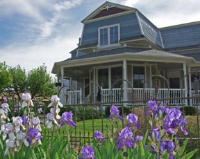 A charming house with a porch, surrounded by blooming purple irises and greenery under a blue sky.