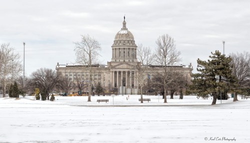 A grand building with a dome, surrounded by snow-covered grounds and bare trees, under a cloudy sky.