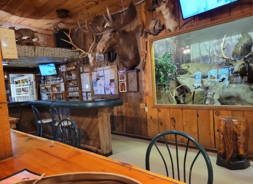 Cozy rustic interior of a bar with wooden walls, a mounted moose head, and a display of taxidermy animals.
