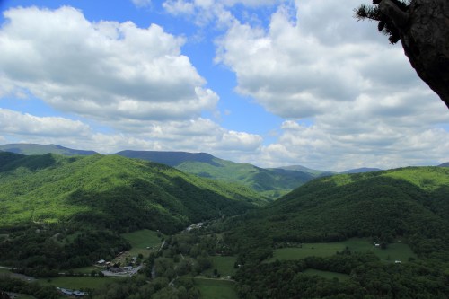 alt
