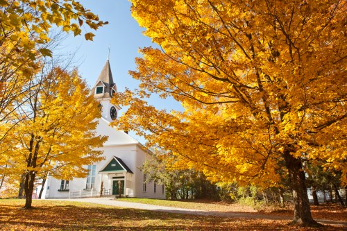 A white church surrounded by vibrant yellow autumn trees under a clear blue sky.