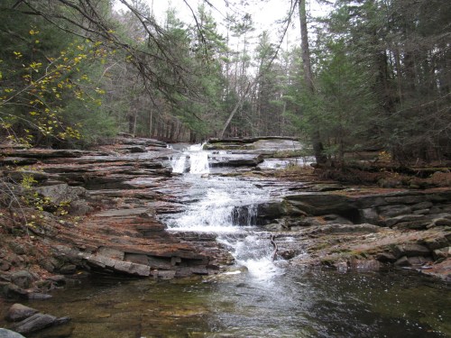 A serene forest scene featuring a cascading waterfall over rocky terrain, surrounded by trees and autumn foliage.