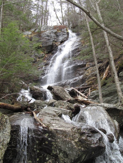 A cascading waterfall flows down rocky terrain, surrounded by trees and moss-covered boulders.