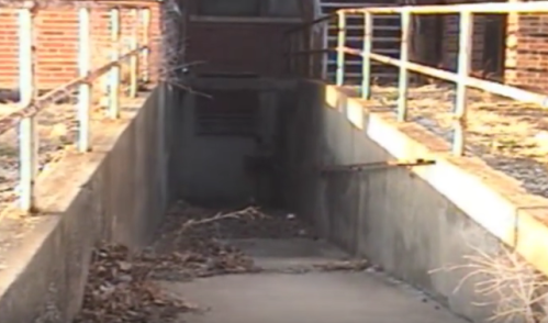 A dimly lit concrete pathway leads into a shadowy area, surrounded by overgrown vegetation and metal railings.