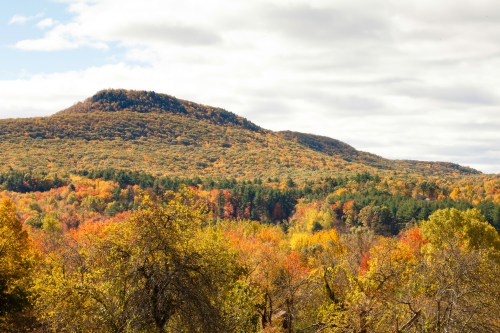 Vibrant autumn landscape with rolling hills and colorful foliage under a cloudy sky.