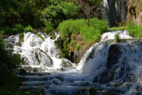 A serene waterfall cascading over rocks, surrounded by lush greenery and vibrant vegetation.