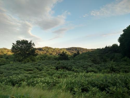A lush green landscape with rolling hills under a partly cloudy sky.