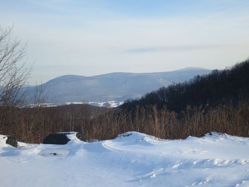 Snow-covered landscape with rolling hills in the background and sparse trees, under a clear blue sky.