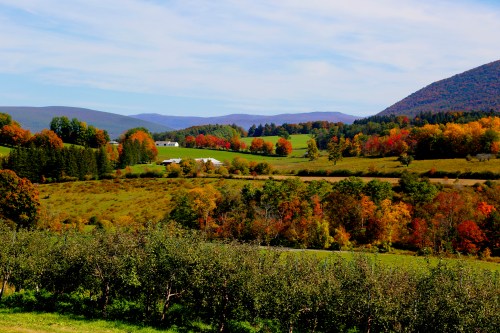 A scenic landscape featuring rolling hills, vibrant autumn foliage, and a clear blue sky.