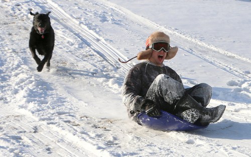 A person in winter gear sleds down a snowy hill, while a black dog runs joyfully alongside.