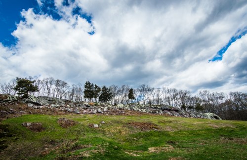A rocky hillside under a cloudy sky, with sparse trees and green grass in the foreground.