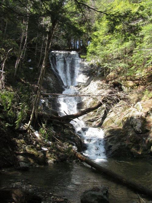 A serene waterfall cascades down rocky terrain, surrounded by lush green trees and fallen logs.