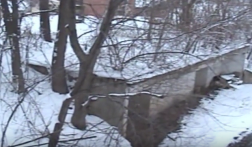 A snowy landscape featuring a partially collapsed structure surrounded by bare trees.
