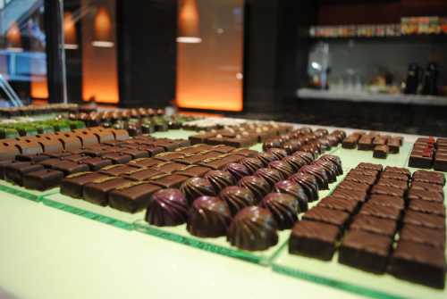 A variety of beautifully arranged chocolate confections displayed on a glass surface.