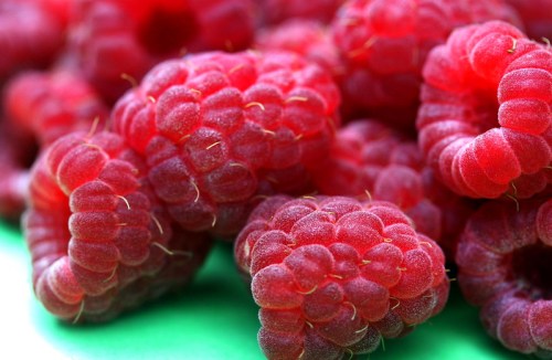 Close-up of fresh, plump red raspberries with a textured surface, arranged on a green background.