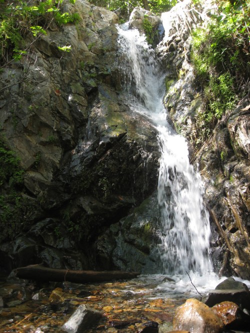 A cascading waterfall flows over rocky terrain, surrounded by lush green foliage and a clear stream below.