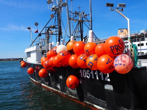 A fishing boat docked in the water, adorned with large orange buoys, under a clear blue sky.