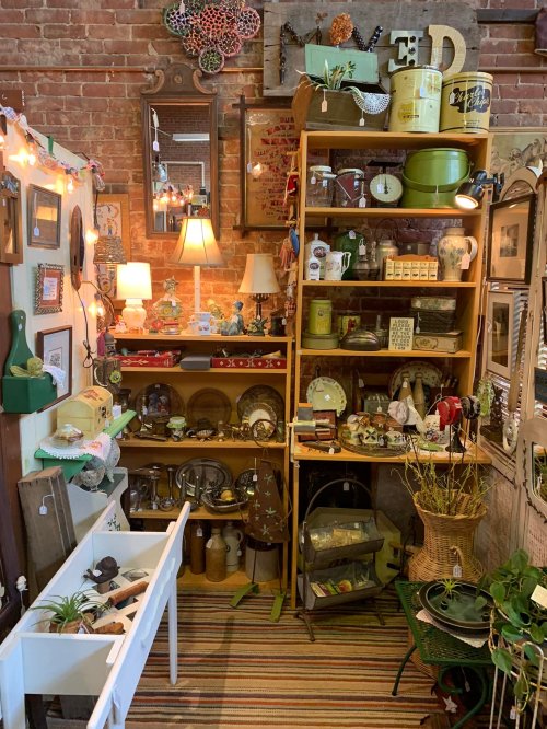 A cozy vintage shop corner filled with shelves of antiques, decor, and plants against a brick wall.