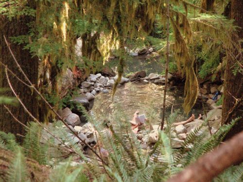 A serene forest scene with a small, clear pool surrounded by rocks and lush greenery, featuring people relaxing by the water.