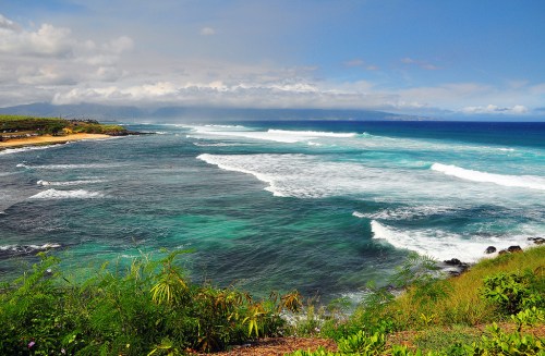A scenic coastal view with rolling waves, lush greenery, and a clear blue sky.