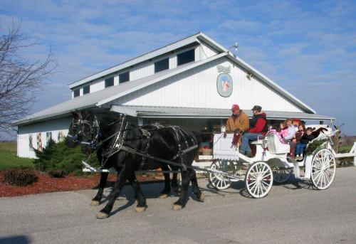 A horse-drawn carriage with passengers passes by a white barn under a blue sky.