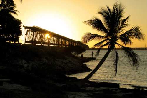 Silhouette of a palm tree and a bridge at sunset, with the sun shining through the structure over calm waters.