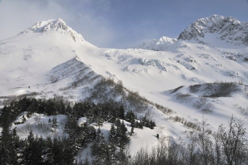 Snow-covered mountains rise against a clear sky, with trees dotting the lower slopes.
