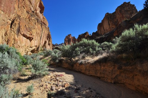 A narrow canyon with towering red rock formations and sparse greenery under a clear blue sky.