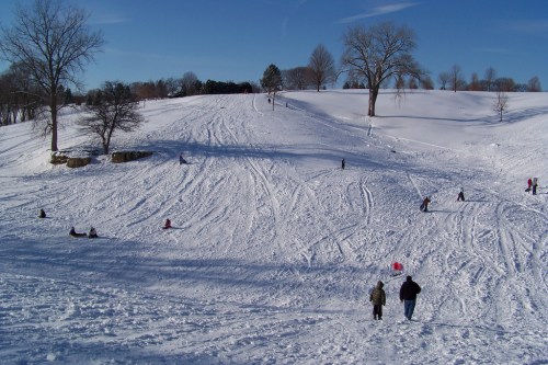 A snowy hill with people sledding and walking, surrounded by trees under a clear blue sky.