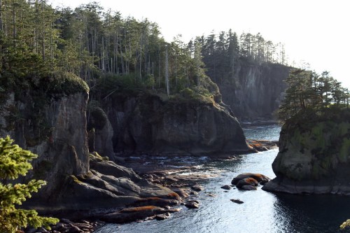 Rocky coastline with lush greenery and tall trees, overlooking calm waters and distant cliffs under soft sunlight.