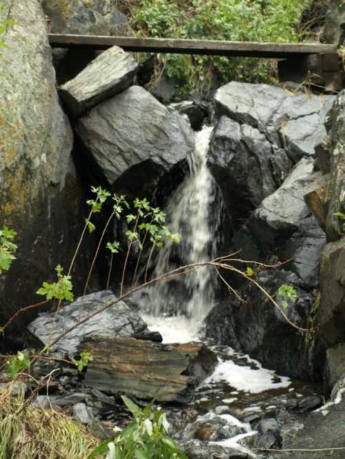 A small waterfall cascades over dark rocks, surrounded by greenery and natural textures.