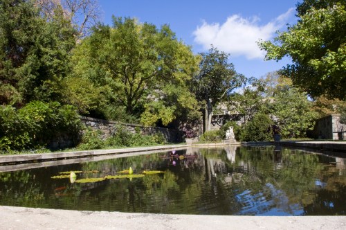 A serene pond surrounded by lush greenery and trees under a clear blue sky.