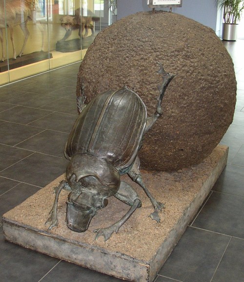 A large sculpture of a beetle pushing a spherical stone, displayed in a museum setting.