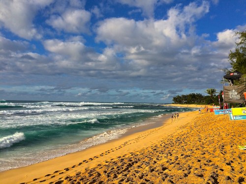 A scenic beach with golden sand, gentle waves, and a cloudy blue sky, lined with palm trees and beachgoers.