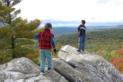 Two children stand on a rocky outcrop, overlooking a colorful forested landscape under a cloudy sky.