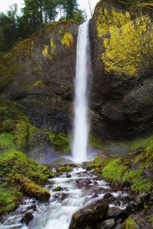 A serene waterfall cascades down a moss-covered cliff, surrounded by lush greenery and a flowing stream below.