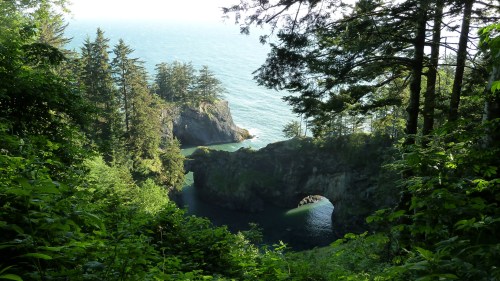 A scenic view of a coastal landscape with lush greenery, rocky formations, and the ocean in the background.