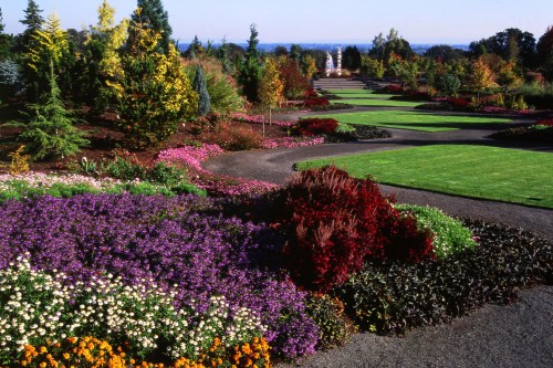 A vibrant garden with colorful flowers and neatly arranged pathways, surrounded by trees and a clear blue sky.