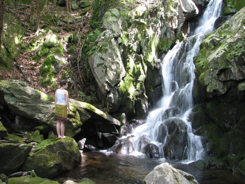 A person stands by a serene waterfall surrounded by lush greenery and large rocks in a tranquil forest setting.