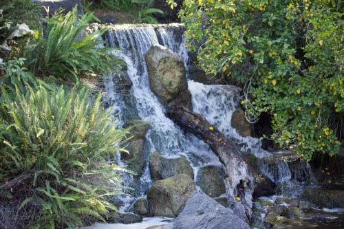 A serene waterfall cascades over rocks, surrounded by lush greenery and a fallen log.