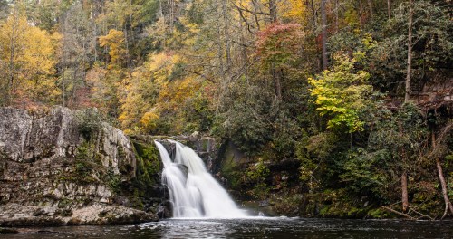 A serene waterfall cascades over rocks, surrounded by vibrant autumn foliage in a tranquil forest setting.