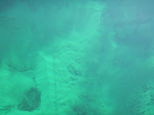 Aerial view of a clear, turquoise underwater scene with sandy textures and some submerged vegetation.