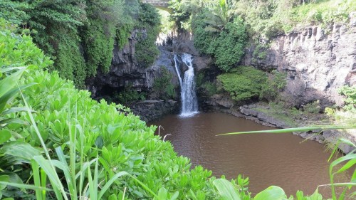 A serene waterfall cascades into a brown pool, surrounded by lush greenery and rocky cliffs.